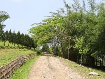 Landmark Woods Hotel กาซิรังคา ภายนอก รูปภาพ